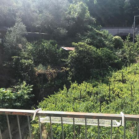 Emilio House Villa Levanto Dış mekan fotoğraf